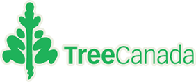 Ontario Seed Tree Plant